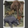 1818_Safari_Animals.jpg